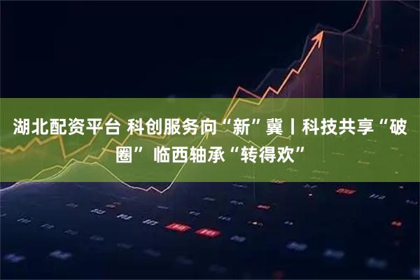 湖北配资平台 科创服务向“新”冀丨科技共享“破圈” 临西轴承“转得欢”